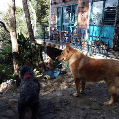 Refugio en las Nubes