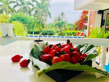 Casa de las Flores tropical