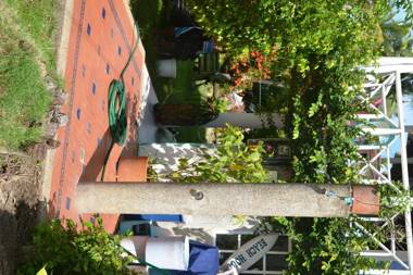 Islander House on Rocky Cay Beach