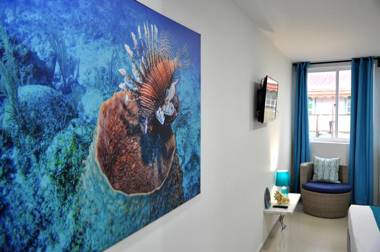 White Coral ApartaSuites