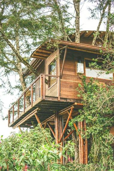 La Gloria Reserva Forestal