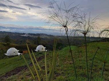 Ecohotel Monte Tierra Habitaciones y Glamping