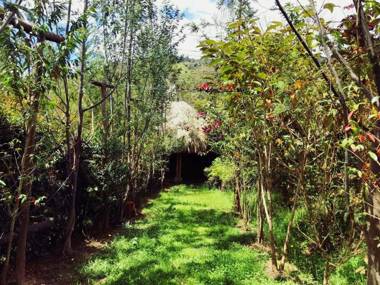 Hotel mirador calopala