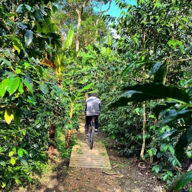 Biking & Adventure Hotel by La Palma y El Tucan