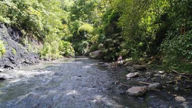 HOTEL LA SELVA Reserva