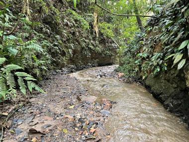 Jaragual Hostel Natural