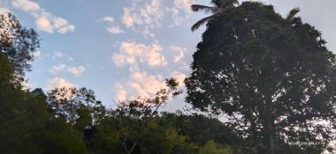 Hotel Boutique Rossé