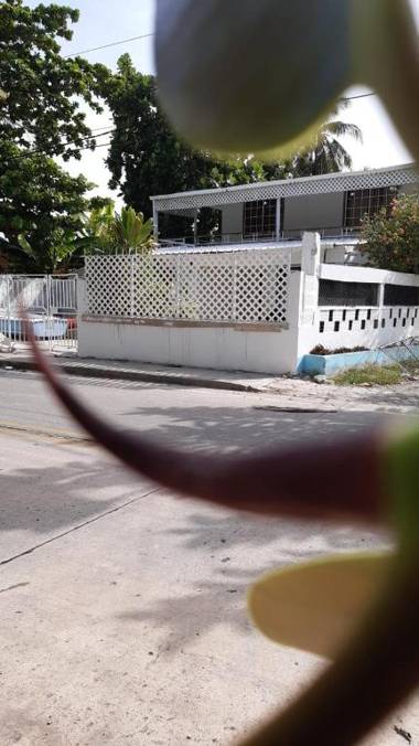 JOEBI'S HOUSE walking distance to Rocky Cay beach