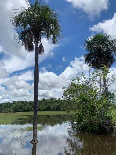 Hotel Campestre Los Chiguiros