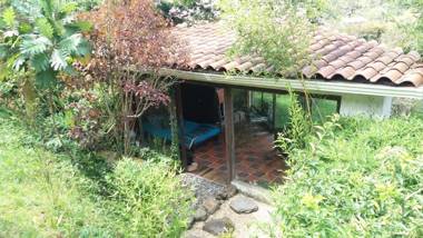 Naturaleza en armonia