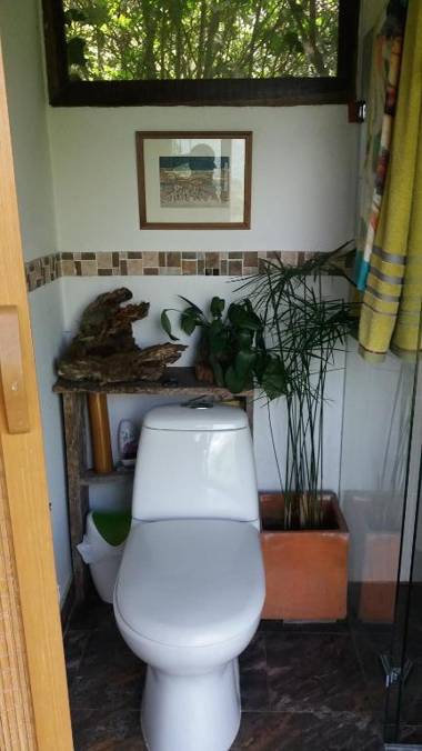 Naturaleza en armonia