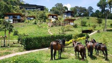 Experiencia Suprema VIP habitacion NATUBRI