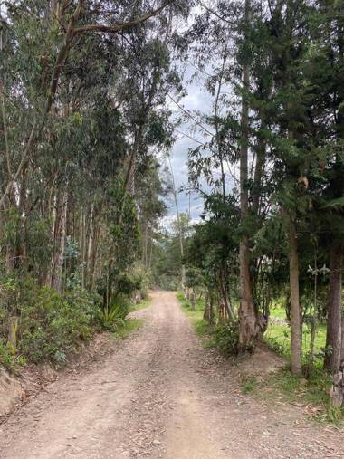 Romántica Cabaña con vista a la ciudad 10 min del Centro
