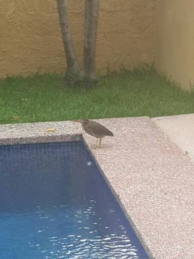 Hotel Portal Colonial