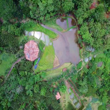 Macaw Lodge an Authentic Ecolodge