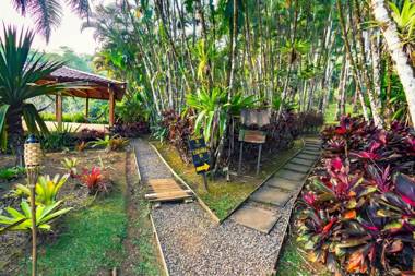 Macaw Lodge an Authentic Ecolodge