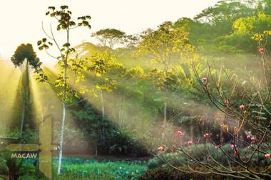 Macaw Lodge an Authentic Ecolodge