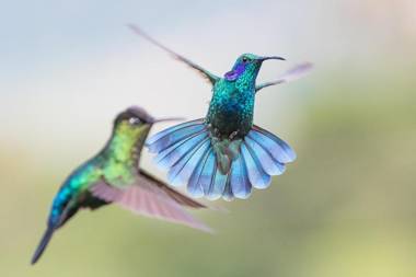 Hotel Mirador de Quetzales