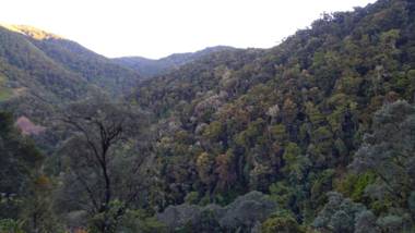 Hospedaje Casa Monge