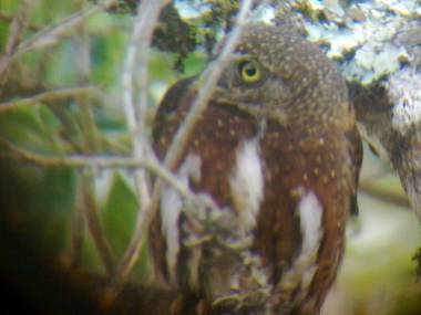 Miriam's Quetzaly lodge