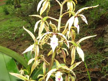 Miriam's Quetzaly lodge
