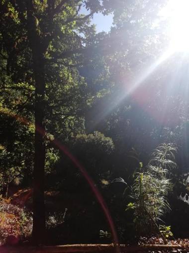 Miriam's Quetzaly lodge