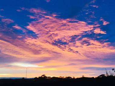 Hotel Ficus - Monteverde