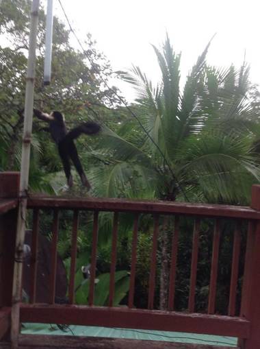 Casa Manglar Vacation Home