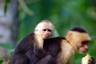 Casa Manglar Vacation Home