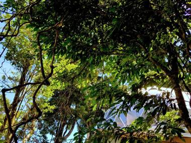 Chira Glamping Monteverde