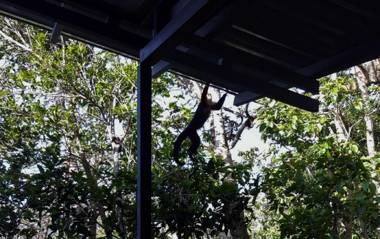 Above the Gulf Vacation House