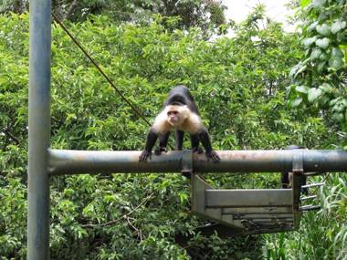 Natural Wonders House