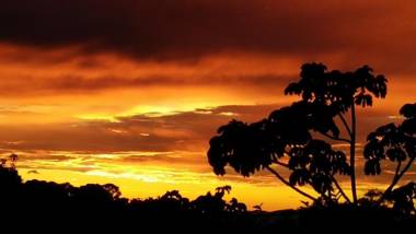 Natural Wonders House