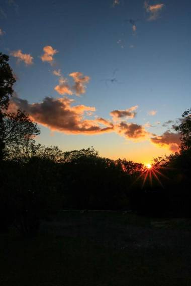 Moon Forest Apartments