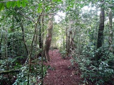 Cabañas La Montaña Chalet