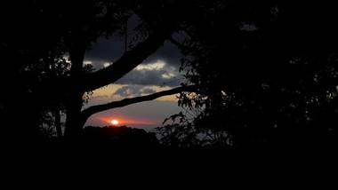 Canopy Wonders Vacation Home