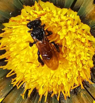 CASA GERANIOS STUDIO #3