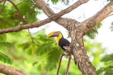 Pacific Edge Eco Lodge