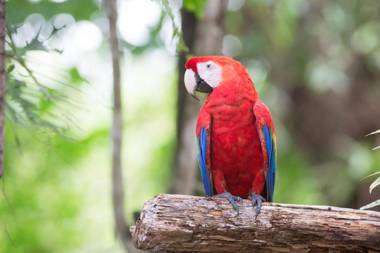 Pacific Edge Eco Lodge