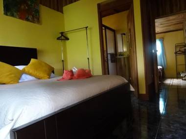 Monteverde Cecropia Paradise