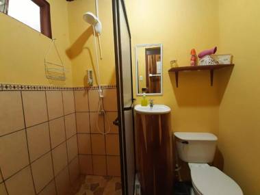 Monteverde Cecropia Paradise