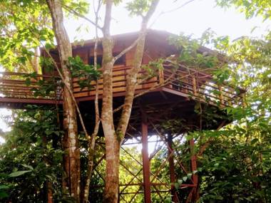 TREEHOUSE PILON PAVONES