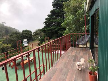 Monteverde Monkey Hostel 2