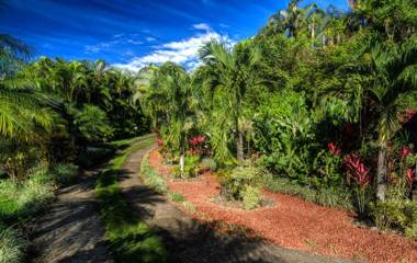 SLEEPING IN PARADISE