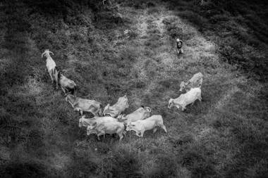 SLEEPING IN PARADISE