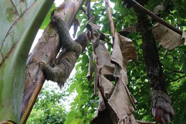 Cascada Verde Hostel