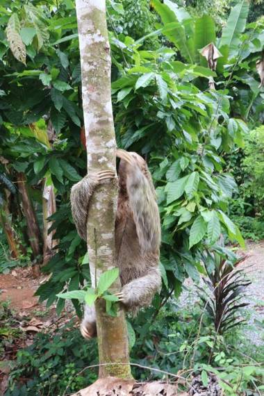 Cascada Verde Hostel