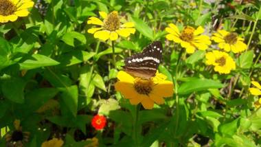 Cabinas Bahía Uvita - Marino Ballena National Park Lodge
