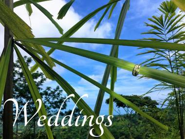 Golden Pineapple Villas-Adults Only