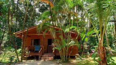 Cabinas Costa Tropicana